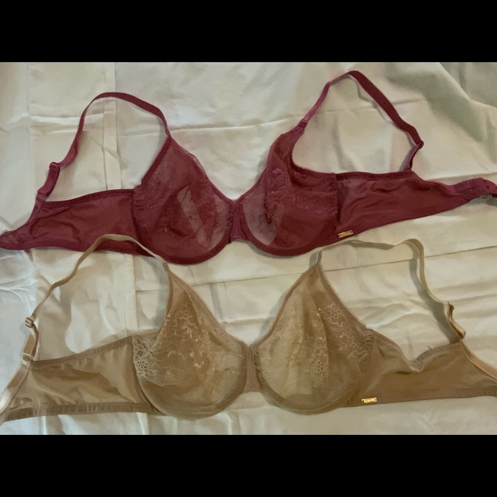 Goddard ‘Glossies’ underwire, sheer lace.
